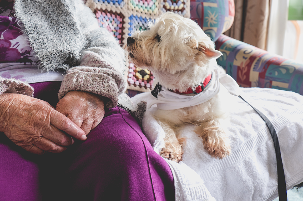 Benefits of Pet Therapy in Older Adults - Harbor Hospice
