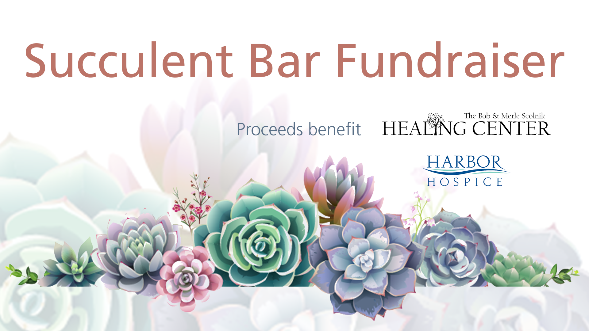 Event Header Succulent Fundraiser - Succulent Bar FUNdraiser benefiting Harbor Hospice Foundation - June 21