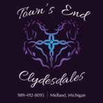 Towns End Clydesdales 150x150 - Horses for Harbor Hospice