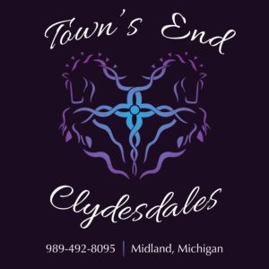 Towns End Clydesdales 300x300 - Caballos para Harbor Hospice