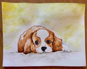 Brown and white dog painting done in Harbor Hospice art therapy