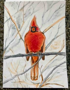 Cardinal painting done in Harbor Hospice art therapy