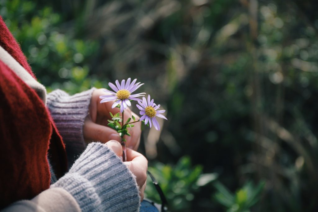 woman holding purple flowers